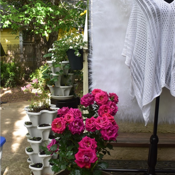 MEET YOUR POSHER WENDY! - Picture 3 of 5